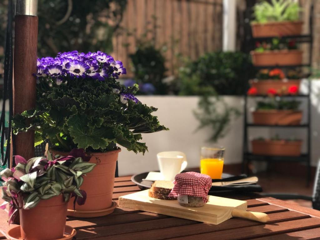 Eixample Apartments - Pova Barselona Dış mekan fotoğraf